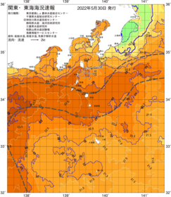 関東・東海海況速報/伊豆諸島海域(2022/05/30)