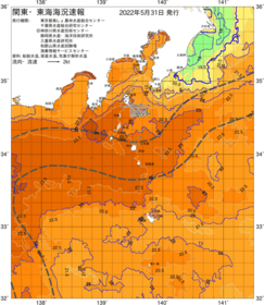 関東・東海海況速報/伊豆諸島海域(2022/05/31)