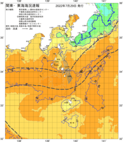 関東・東海海況速報/伊豆諸島海域(2022/07/29)