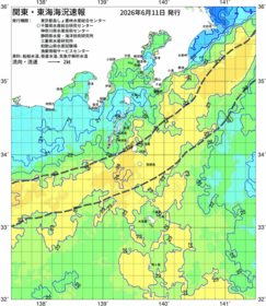 関東・東海海況速報/伊豆諸島海域(2026/06/11)