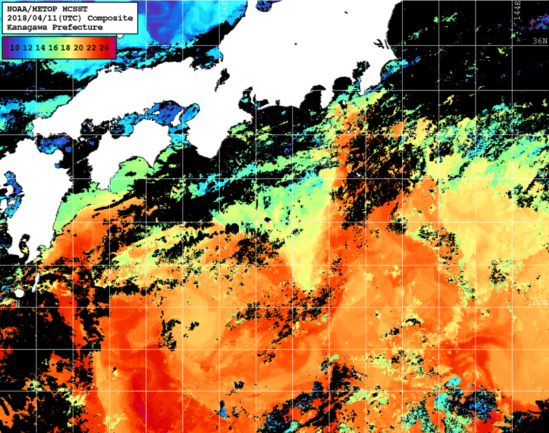 NOAA、MetOp 人工衛星画像 検索結果, 水温分布を図示