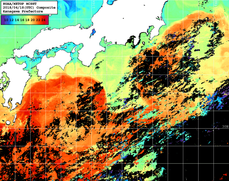 NOAA、MetOp 人工衛星画像 検索結果, 水温分布を図示