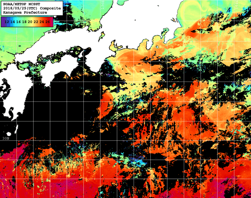 NOAA、MetOp 人工衛星画像 検索結果, 水温分布を図示