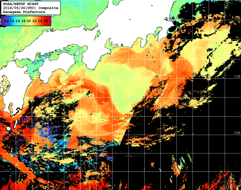 NOAA、MetOp 人工衛星画像 検索結果, 水温分布を図示