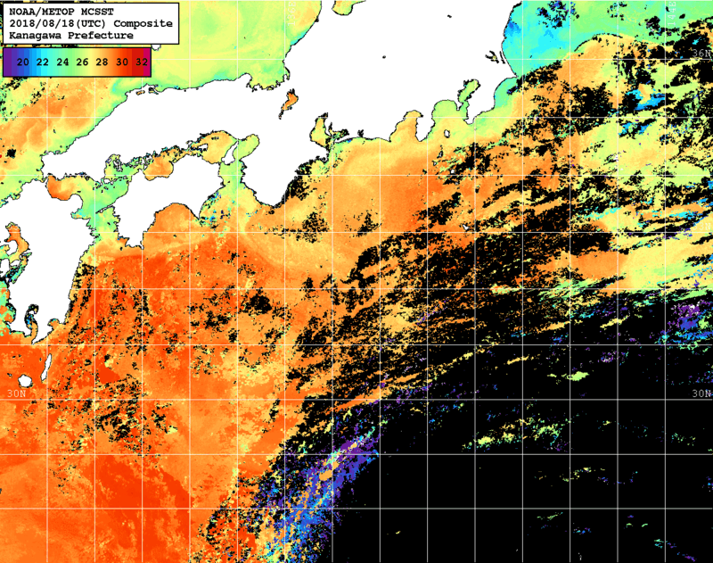 NOAA、MetOp 人工衛星画像 検索結果, 水温分布を図示