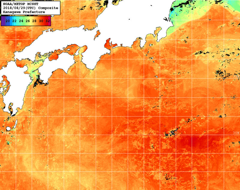 NOAA、MetOp 人工衛星画像 検索結果, 水温分布を図示