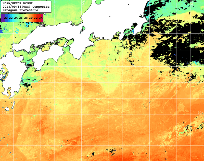 NOAA、MetOp 人工衛星画像 検索結果, 水温分布を図示