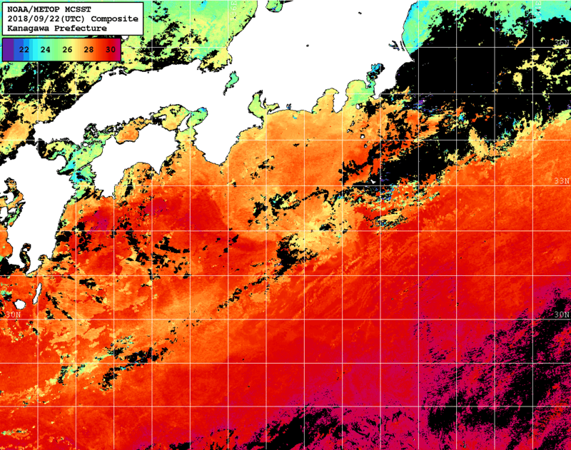NOAA、MetOp 人工衛星画像 検索結果, 水温分布を図示