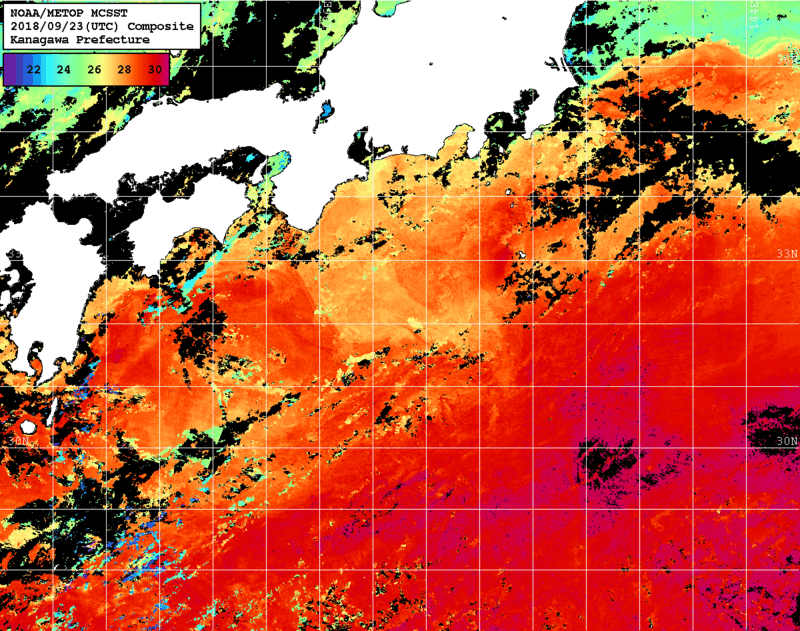 NOAA、MetOp 人工衛星画像 検索結果, 水温分布を図示