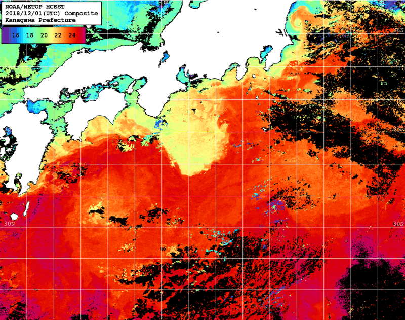 NOAA、MetOp 人工衛星画像 検索結果, 水温分布を図示