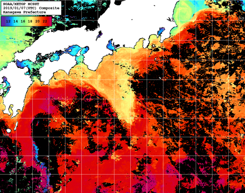 NOAA、MetOp 人工衛星画像 検索結果, 水温分布を図示