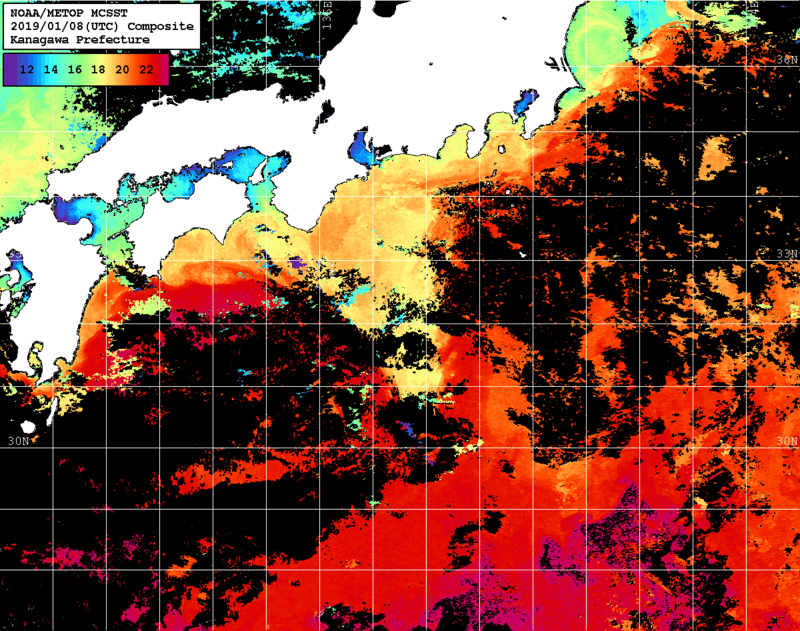 NOAA、MetOp 人工衛星画像 検索結果, 水温分布を図示