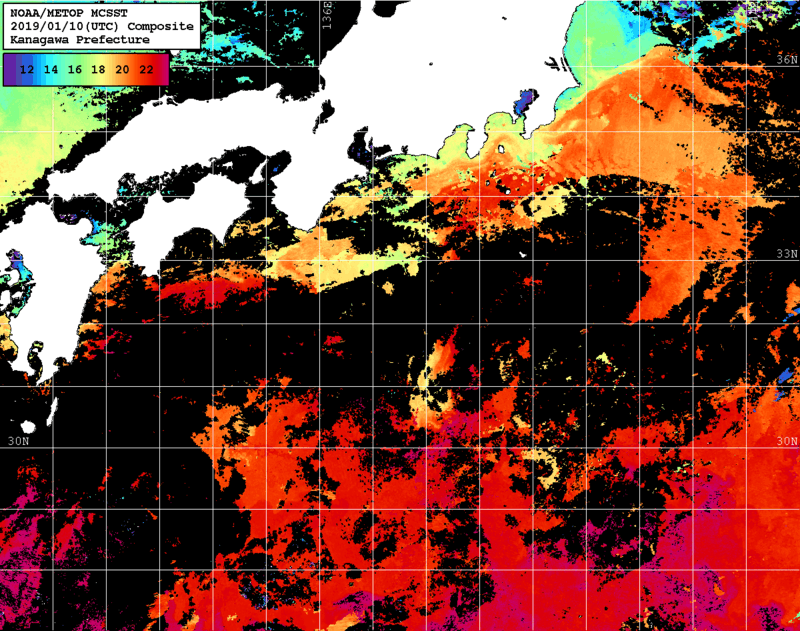 NOAA、MetOp 人工衛星画像 検索結果, 水温分布を図示