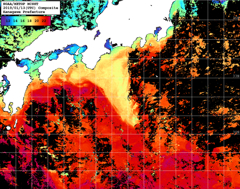 NOAA、MetOp 人工衛星画像 検索結果, 水温分布を図示