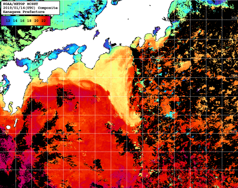 NOAA、MetOp 人工衛星画像 検索結果, 水温分布を図示