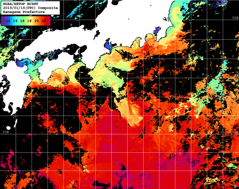 NOAA、MetOp 人工衛星画像 検索結果, 水温分布を図示