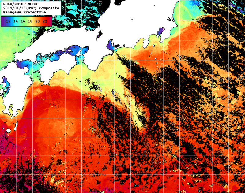 NOAA、MetOp 人工衛星画像 検索結果, 水温分布を図示