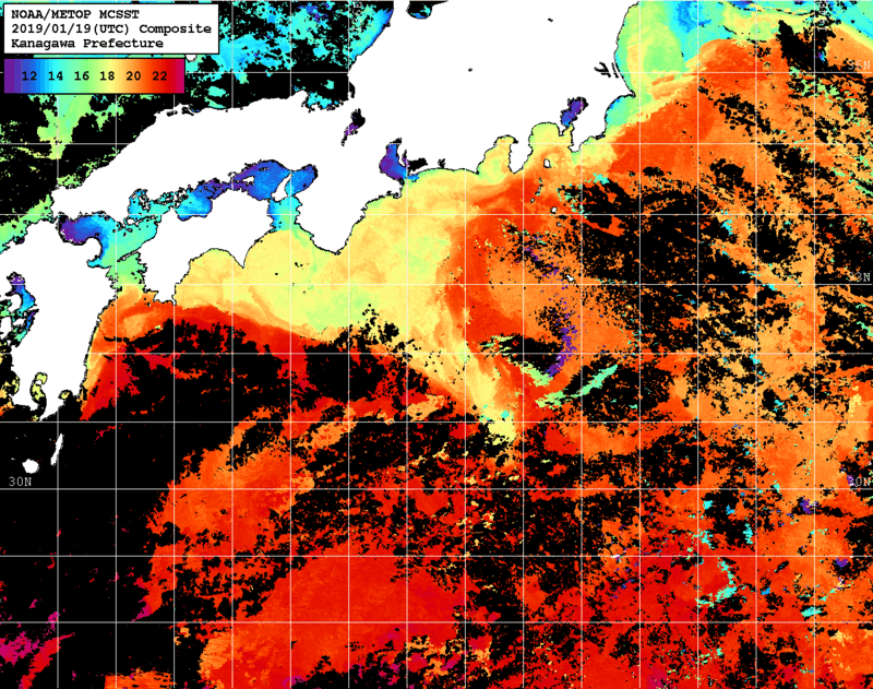 NOAA、MetOp 人工衛星画像 検索結果, 水温分布を図示
