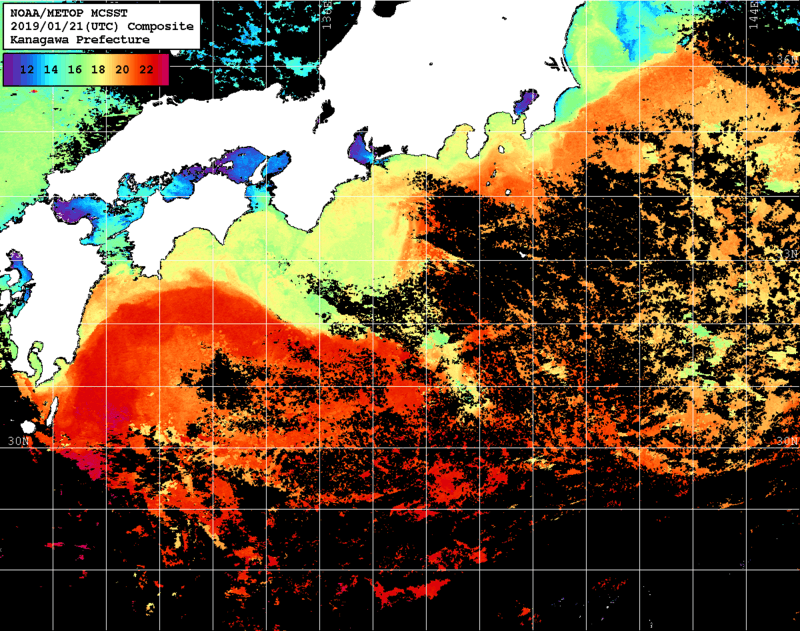 NOAA、MetOp 人工衛星画像 検索結果, 水温分布を図示