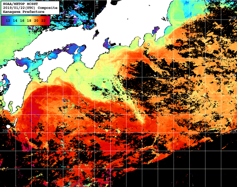 NOAA、MetOp 人工衛星画像 検索結果, 水温分布を図示