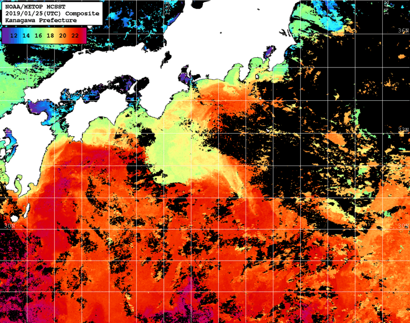 NOAA、MetOp 人工衛星画像 検索結果, 水温分布を図示