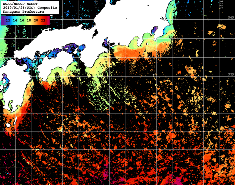 NOAA、MetOp 人工衛星画像 検索結果, 水温分布を図示