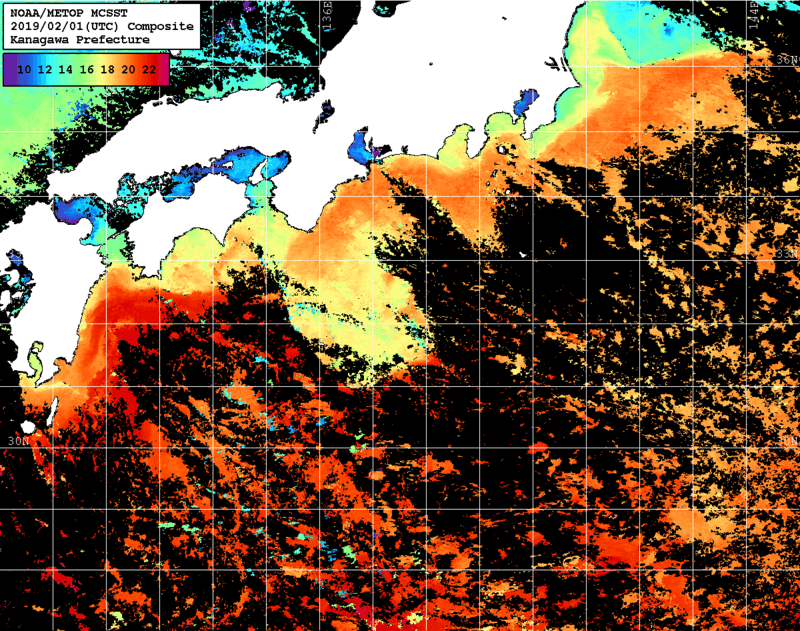 NOAA、MetOp 人工衛星画像 検索結果, 水温分布を図示