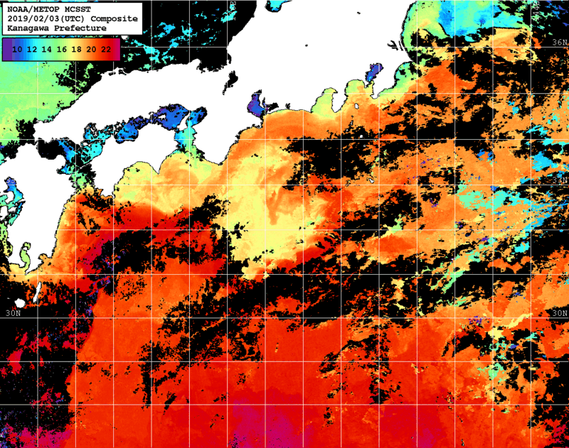 NOAA、MetOp 人工衛星画像 検索結果, 水温分布を図示