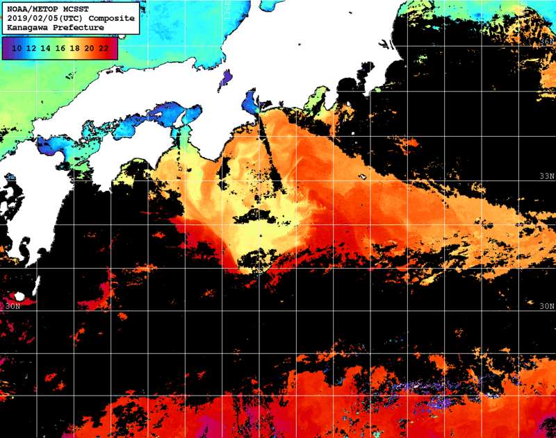 NOAA、MetOp 人工衛星画像 検索結果, 水温分布を図示