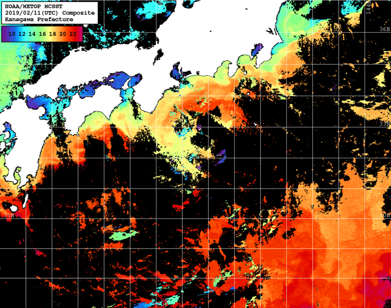 NOAA、MetOp 人工衛星画像 検索結果, 水温分布を図示