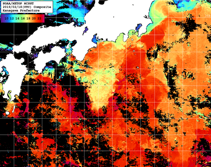 NOAA、MetOp 人工衛星画像 検索結果, 水温分布を図示