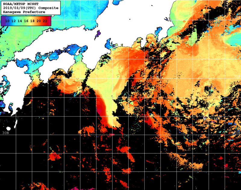 NOAA、MetOp 人工衛星画像 検索結果, 水温分布を図示