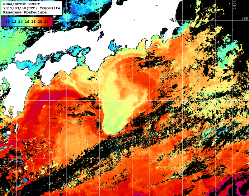 NOAA、MetOp 人工衛星画像 検索結果, 水温分布を図示
