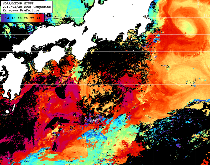NOAA、MetOp 人工衛星画像 検索結果, 水温分布を図示