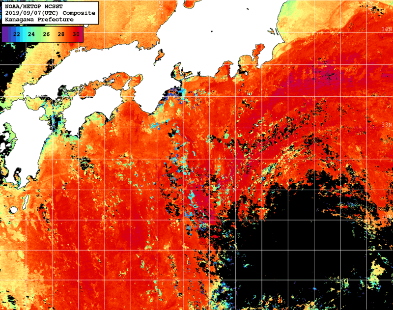 NOAA、MetOp 人工衛星画像 検索結果, 水温分布を図示