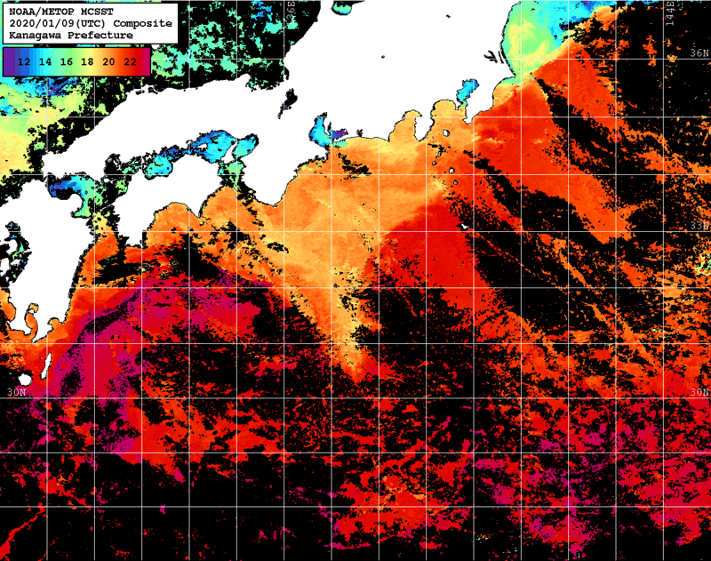 NOAA、MetOp 人工衛星画像 検索結果, 水温分布を図示