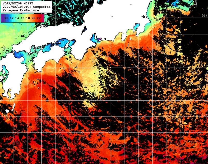 NOAA、MetOp 人工衛星画像 検索結果, 水温分布を図示