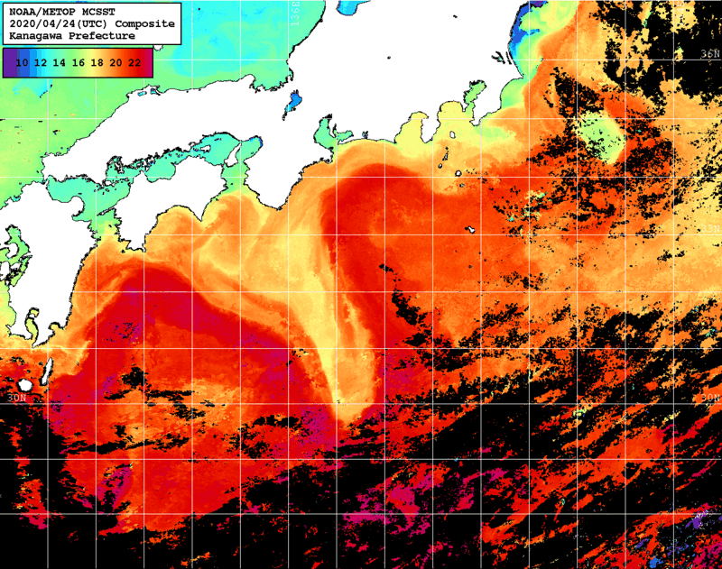 NOAA、MetOp 人工衛星画像 検索結果, 水温分布を図示