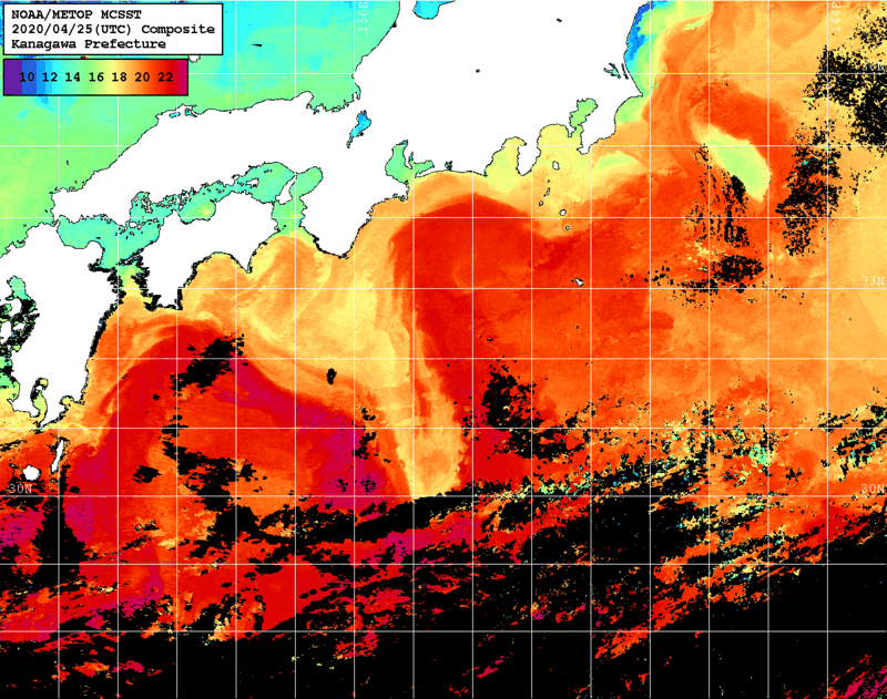 NOAA、MetOp 人工衛星画像 検索結果, 水温分布を図示