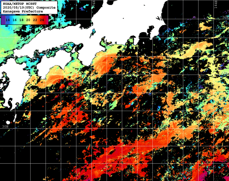 NOAA、MetOp 人工衛星画像 検索結果, 水温分布を図示