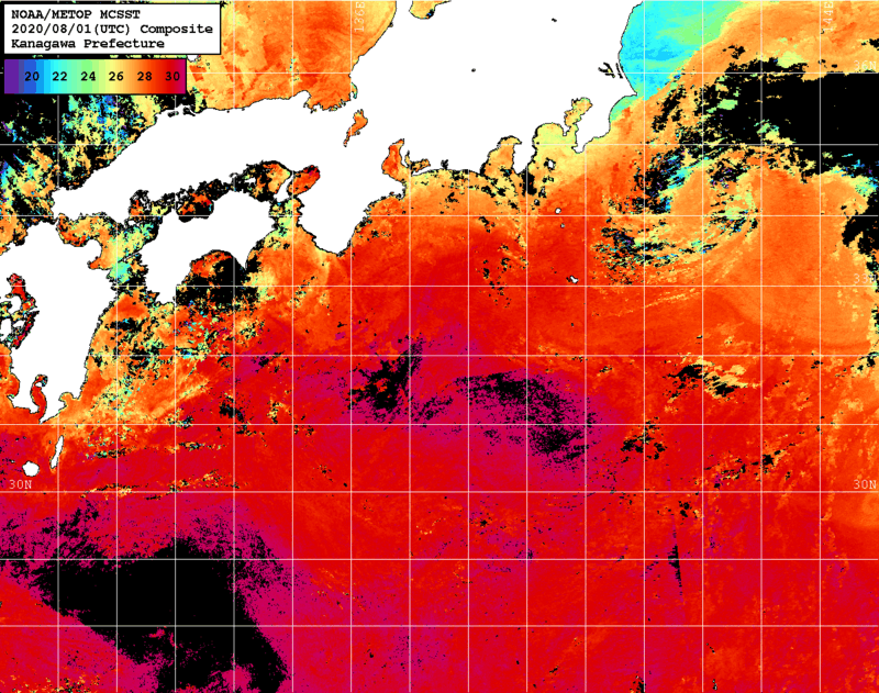 NOAA、MetOp 人工衛星画像 検索結果, 水温分布を図示