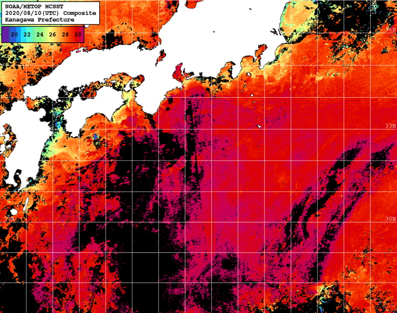 NOAA、MetOp 人工衛星画像 検索結果, 水温分布を図示