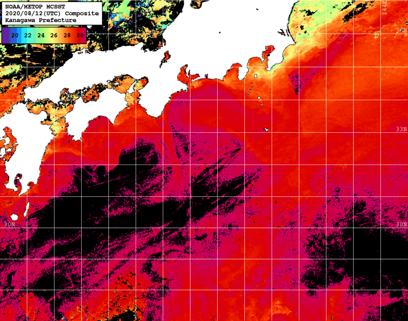 NOAA、MetOp 人工衛星画像 検索結果, 水温分布を図示