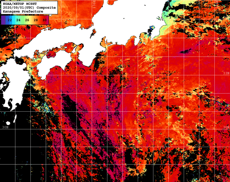 NOAA、MetOp 人工衛星画像 検索結果, 水温分布を図示