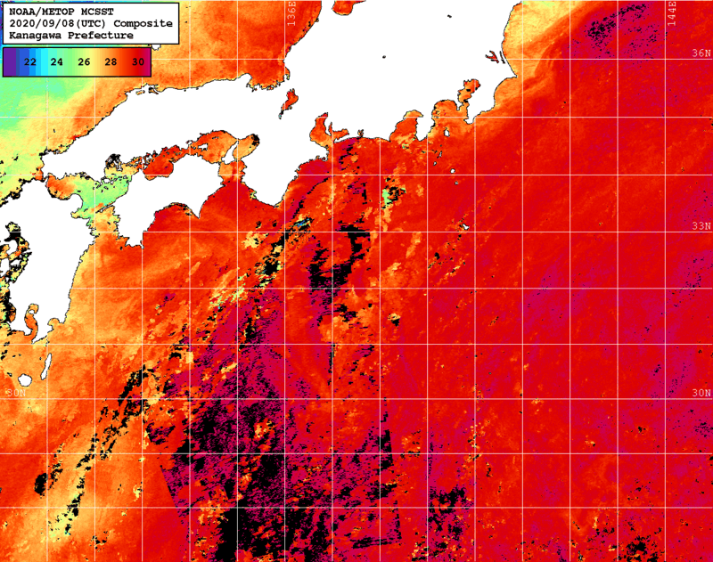 NOAA、MetOp 人工衛星画像 検索結果, 水温分布を図示