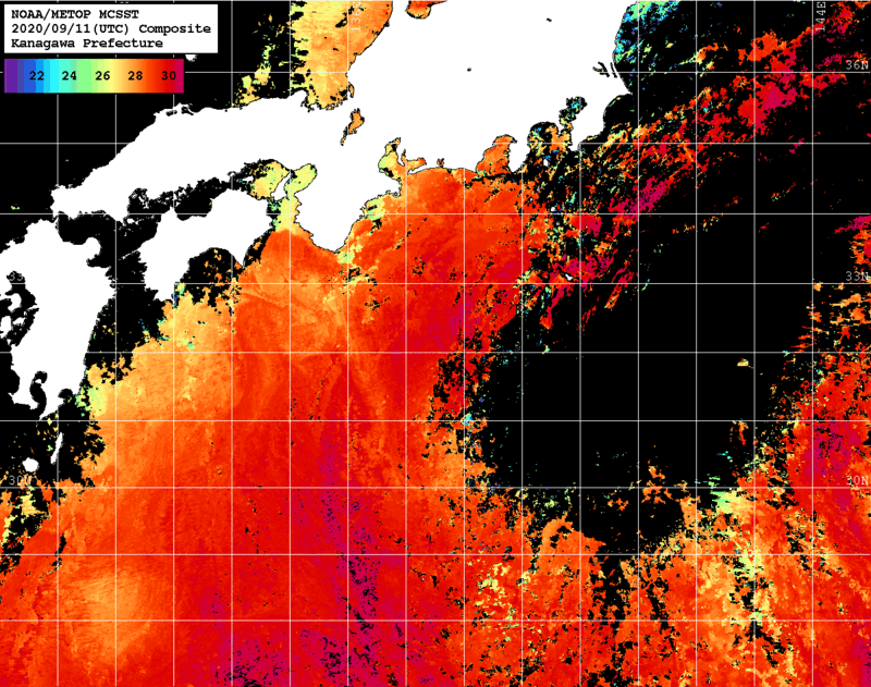 NOAA、MetOp 人工衛星画像 検索結果, 水温分布を図示