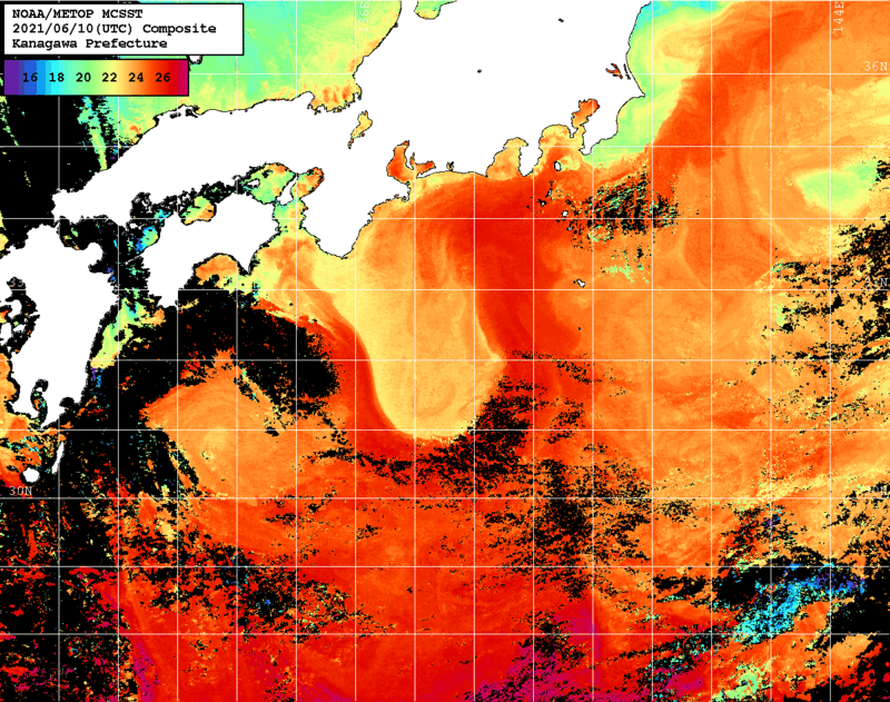 NOAA、MetOp 人工衛星画像 検索結果, 水温分布を図示