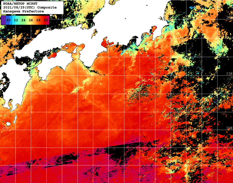 NOAA、MetOp 人工衛星画像 検索結果, 水温分布を図示