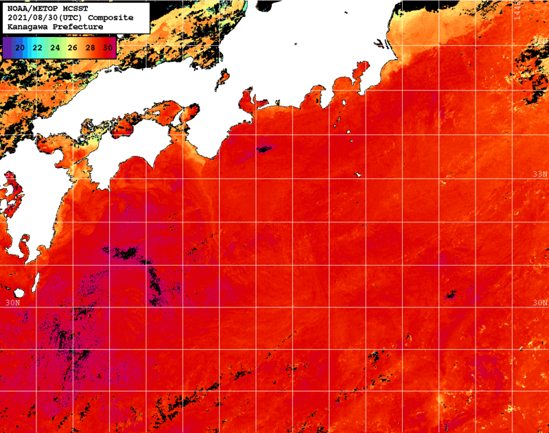 NOAA、MetOp 人工衛星画像 検索結果, 水温分布を図示