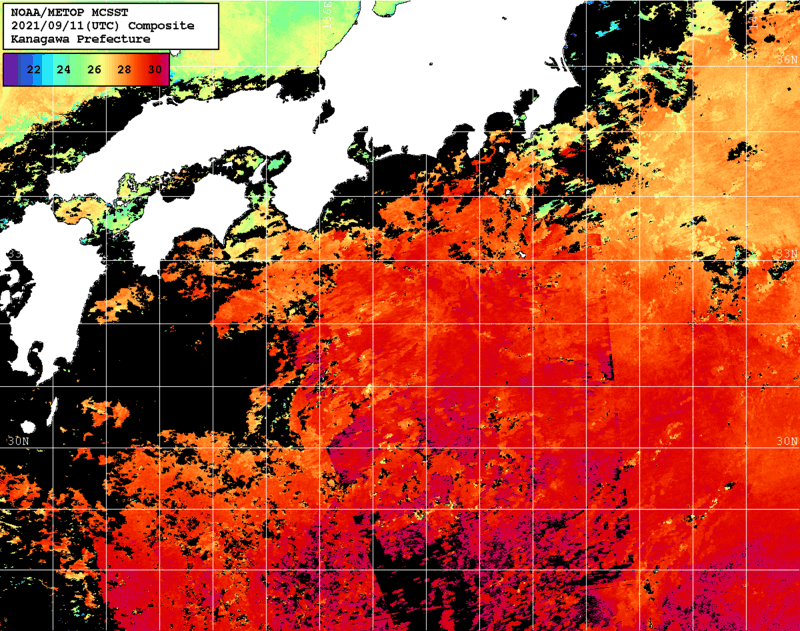 NOAA、MetOp 人工衛星画像 検索結果, 水温分布を図示